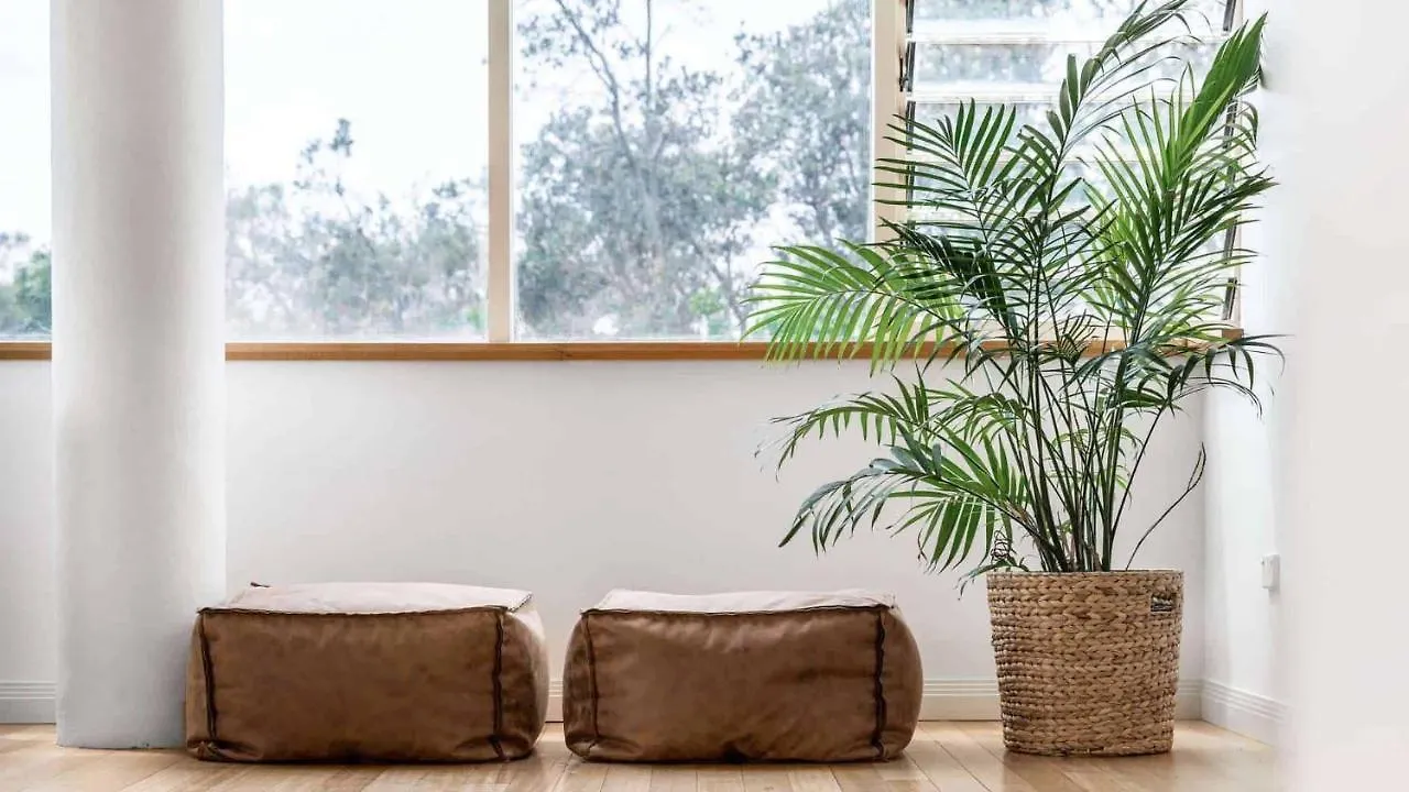 Vila Palms Penthouse Byron Bay